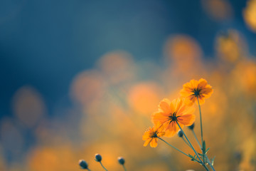 鹦鹉车漆比原厂漆好吗