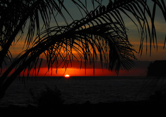 2023年值得买车的三个月份