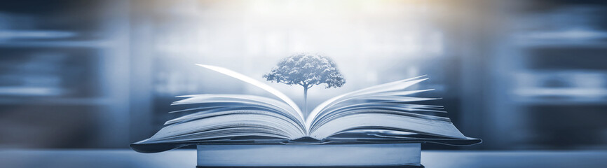 国产车什么发动机最好