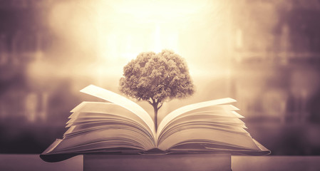 汽车有哪些保养是不用做的？