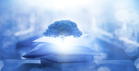 有格调的国产车推荐