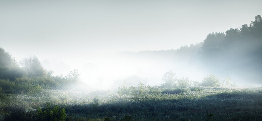 蝴蝶牌乒乓球拍有几种型号