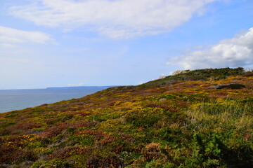 国产车什么发动机最好