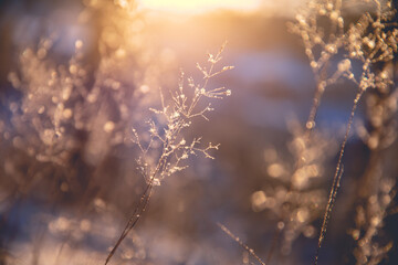 乒乓球拍为什么有腥味