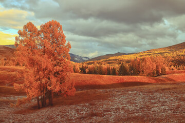 3款国产顶级跑车！