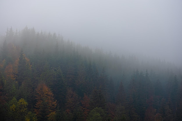 国产车什么发动机最好