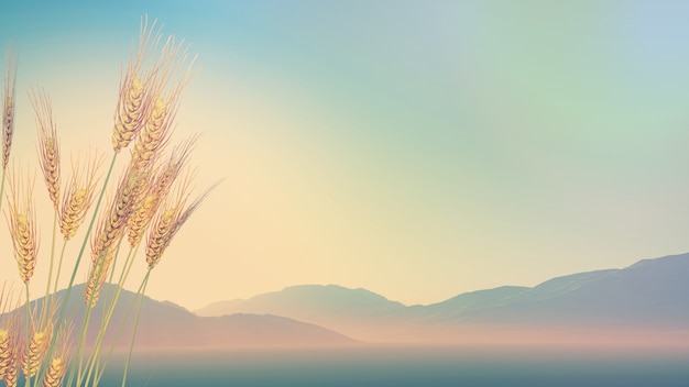 国产车什么发动机最好