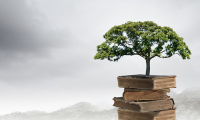 国产车什么发动机最好