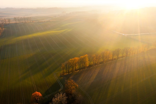 国产车什么发动机最好