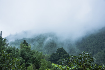 3款国产顶级跑车！